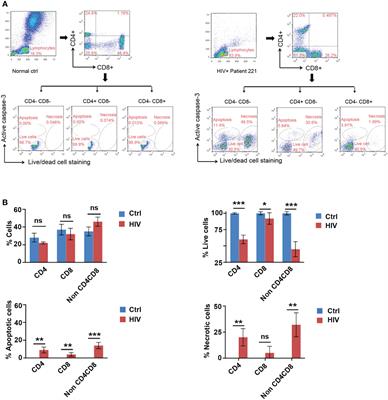 HIV associated cell death: Peptide-induced apoptosis restricts viral transmission